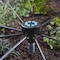 Raindrip Raindrip Hydroport 8 ports Drip Irrigation Manifold 13800UB - alternate 4
